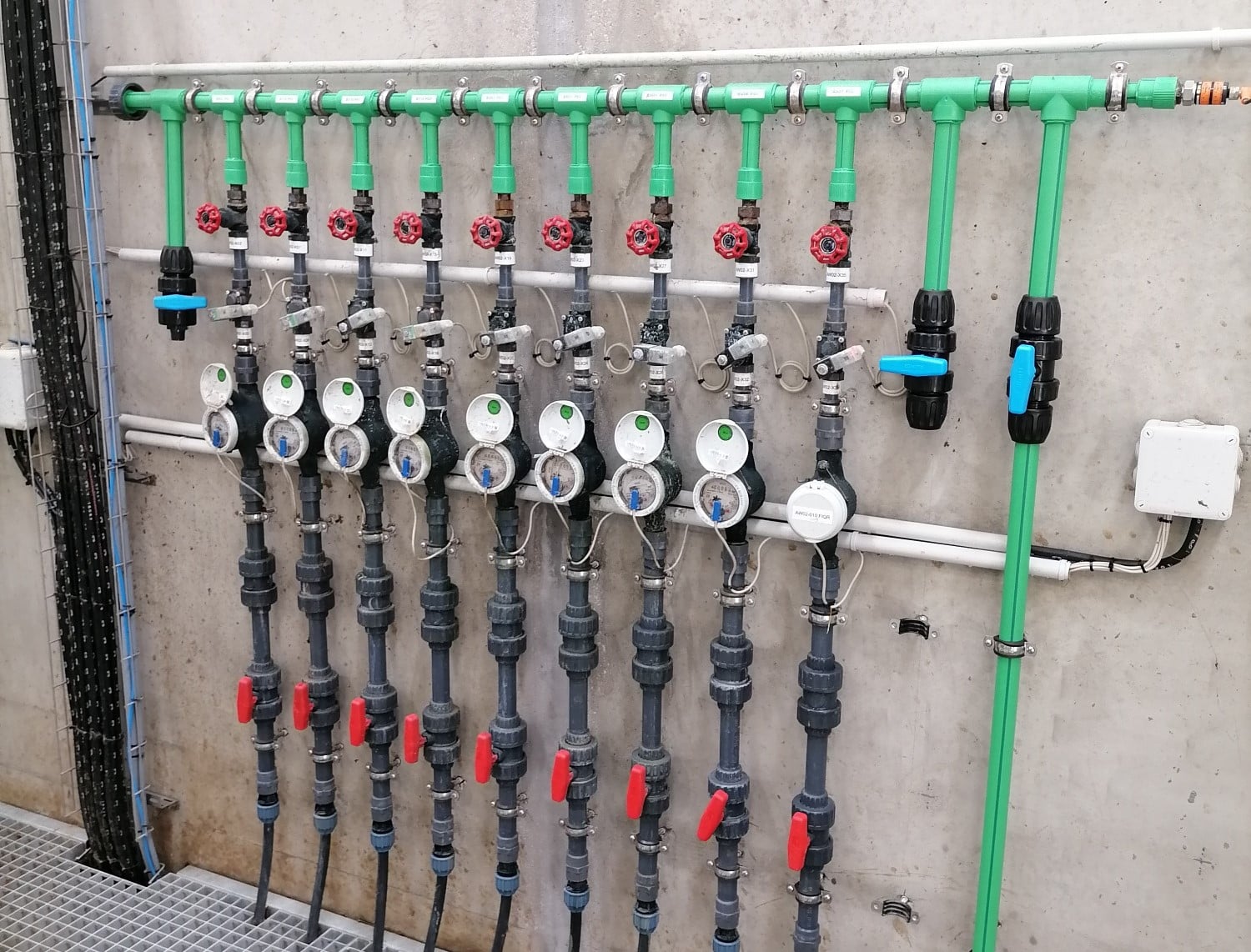 IMG 20230621 153955 resized 20230623 083251561