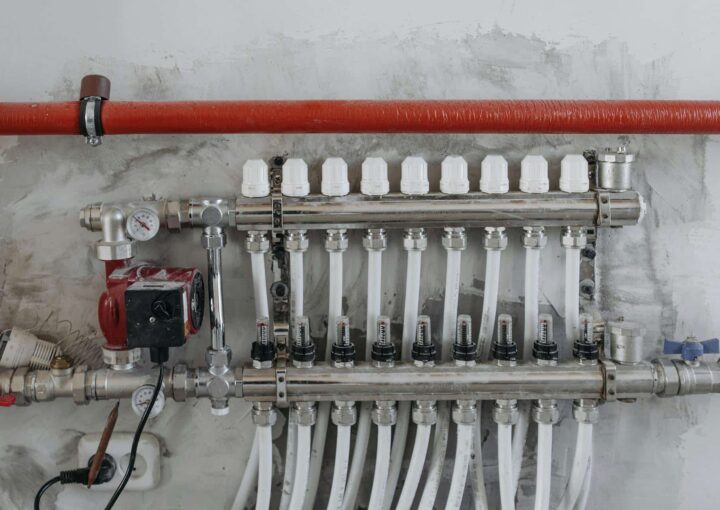 pexels pavel danilyuk 7937299